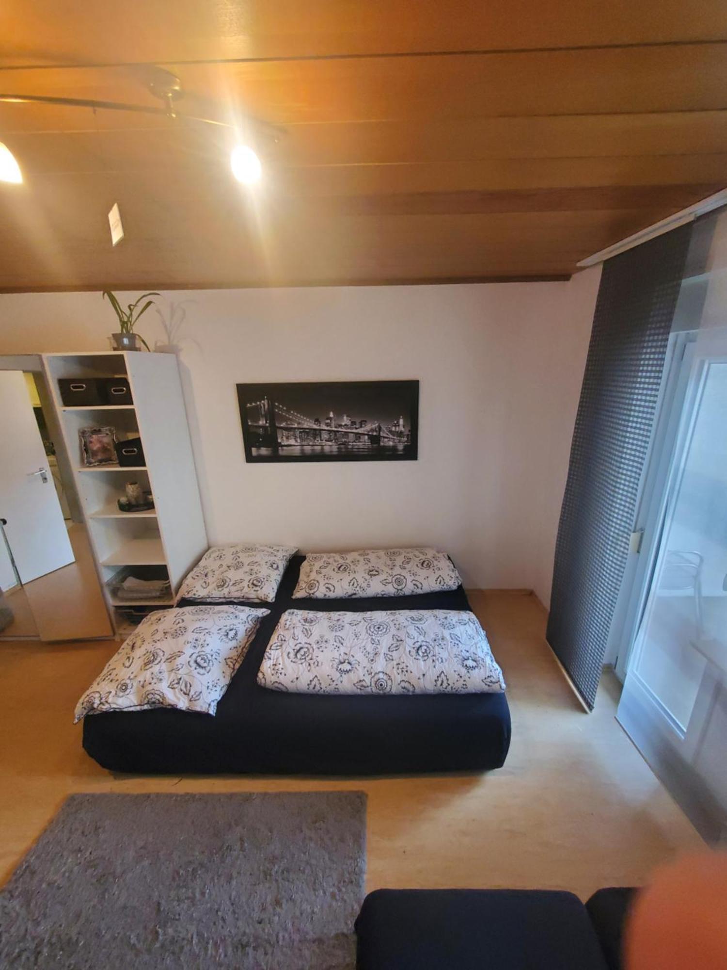 Einzimmerwohnungmit Grossem Balkon Mietersheim Exteriér fotografie